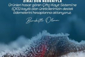 Zirai don nedeniyle ürünleri hasar gören çiftçilere 798 milyon lira destek ödemesi yapıldı