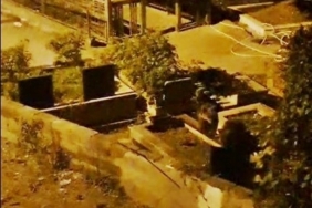 Zonguldak’ta mezarlıkta iki ayı yavrusu görüldü