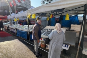 Zonguldak’ta tezgahtaki hamsi yerini diğer çeşit balıklara bırakıyor