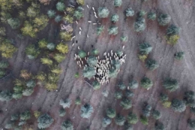 1 milyon 220 bin metrekarelik mera arazisinde "imar planı" iddiası: Müfettişler incelemeye aldı