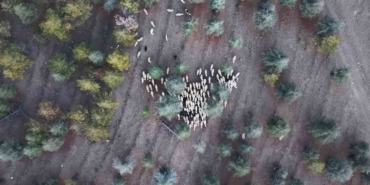 1 milyon 220 bin metrekarelik mera arazisinde "imar planı" iddiası: Müfettişler incelemeye aldı