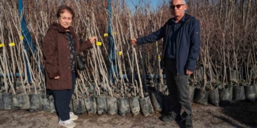 75 üreticiye 3 bin 600 fidan