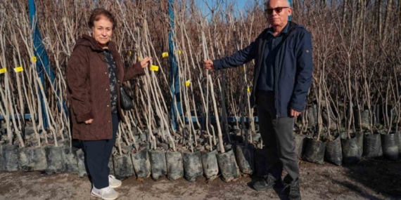 75 üreticiye 3 bin 600 fidan