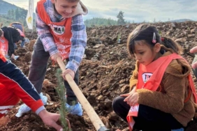 "81 İlde 81 Orman" projesi Muğla ile devam ediyor