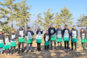 Adana’da bir yılda 50 ton sedir tohumu toprakla buluştu