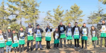 Adana’da bir yılda 50 ton sedir tohumu toprakla buluştu