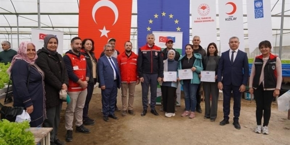 Adana’da topraksız marul yetiştiriciliği başladı