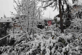 Adanalıların kar sevinci