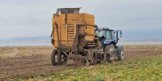 Adilcevaz’da pancar sökümü hızla devam ediyor