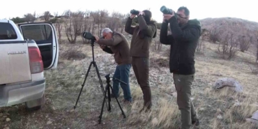 Adıyaman’da yaban keçileri tek tek sayılıyor