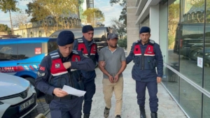 Ağaç kesimi sırasında komşusunun ölümüne sebep olan şahıs tutuklandı