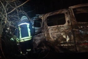 Ağaca çarpan araç alev alev yandı