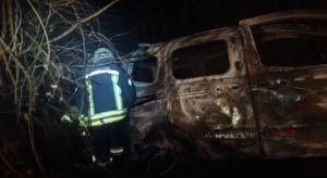 Ağaca çarpan araç alev alev yandı