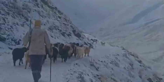 Ağrı’da kar ve tipi hayatı durdurdu