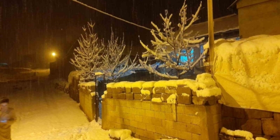 Ahlat’ta kar yağışı