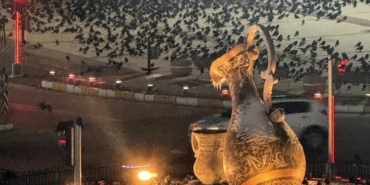 Akşam saatlerinde dikkat! Erzincan’da kargalar sokakları sardı