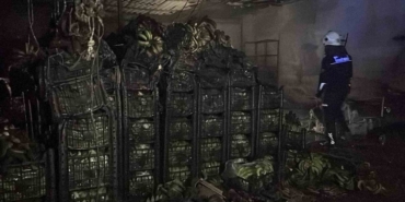 Alanya’da muz sarartma tesisinde yangın: Tonlarca muz zarar gördü