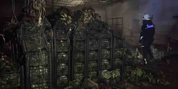 Alanya’da muz sarartma tesisinde yangın: Tonlarca muz zarar gördü