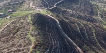 Aliağa ve Foça’da yanan orman alanları yeniden yeşile kavuşuyor