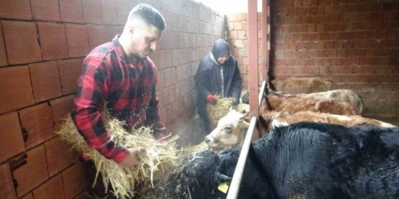 Almanya’dan köyüne döndü, çobanlık yapmaya başladı