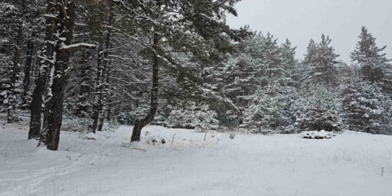 Ankara’da yaylalar beyaza büründü