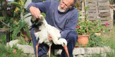 Annesinin yuvadan attığı leyleğe, mahalleli anne ve baba oldu