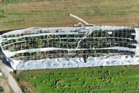 Antalya’da hortumun seralara verdiği zararın boyutu gün yüzüne çıktı