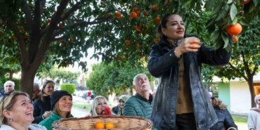 Antalya’nın turunçları Korkuteli’nden sofralara uzanıyor
