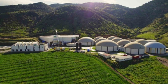 ARF Bio’nun halka arzına 4 kata yakın talep geldi