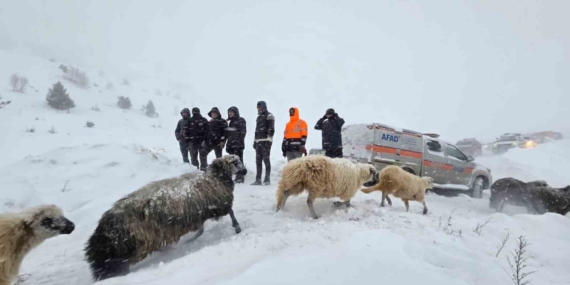 Artvin’de çığ altında kalan 3 çobandan birinin cansız bedenine ulaşıldı