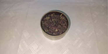 Artvin’de endemik yayla çayı çiçeği kaçakçılığına Jandarma engeli