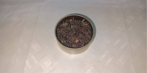 Artvin’de endemik yayla çayı çiçeği kaçakçılığına Jandarma engeli