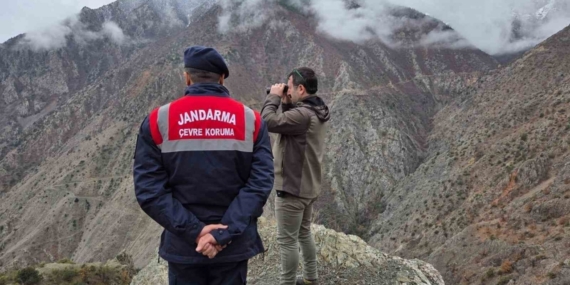 Artvin’de kaçak ve usulsüz avcılığa yönelik denetimler sürüyor