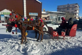 Atlı kızaklar donan göl için hazırlandı