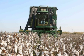 Aydın İl Tarım Müdürlüğü’nden üreticilere ÇKS hatırlatması