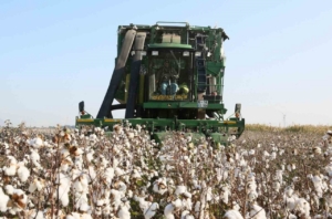 Aydın İl Tarım Müdürlüğü’nden üreticilere ÇKS hatırlatması