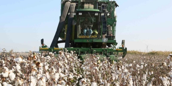 Aydın İl Tarım Müdürlüğü’nden üreticilere ÇKS hatırlatması