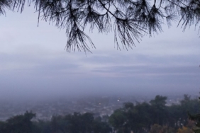 Aydın’da puslu sabah manzaraları mest etti