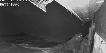 Ayılar kış uykusu nedir bilmiyor, yayla evlerine saldırıları sürüyor