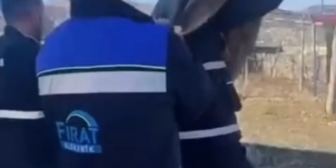 Bahçe çitine sıkışan yaban keçisini FEDAŞ ekipleri kurtardı