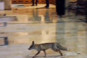 Balıklıgöl’e sürpriz ziyaretçi