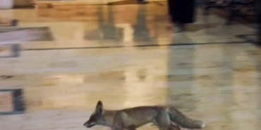 Balıklıgöl’e sürpriz ziyaretçi