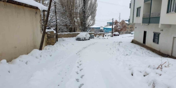 Başkale’de kar etkili oldu