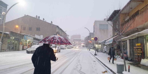 Başkale’de kar yağışı etkili oldu