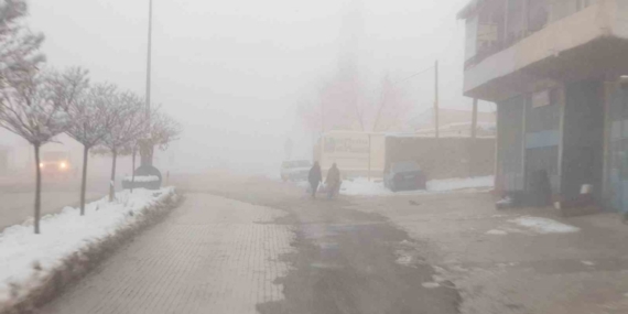 Başkale’de sis etkili oldu