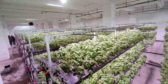 Batman’a eksi birinci katta 30 milyonluk "dikey tarım" yatırımı