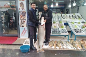 Batman’da 2 metre 10 santimlik dev turna balığı ilgi odağı oldu