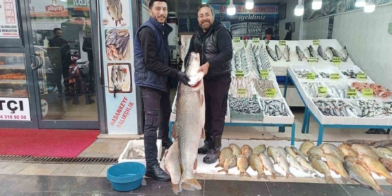 Batman’da 2 metre 10 santimlik dev turna balığı ilgi odağı oldu