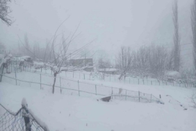 Batman’da kar esareti: 300’ün üzerinde köy ve mezra yolu kapandı