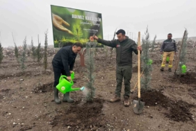Baybatur’dan yanan orman alanlarına bin fidan